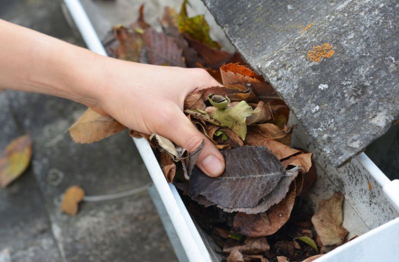 Seasonal Gutter Service