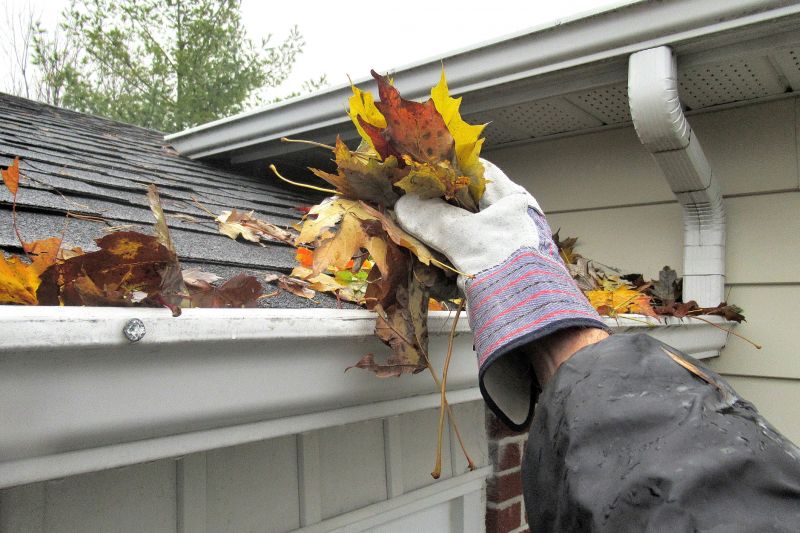 Rain Gutter Maintenance