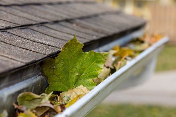 Commercial Downspout Cleaning in Broomfield